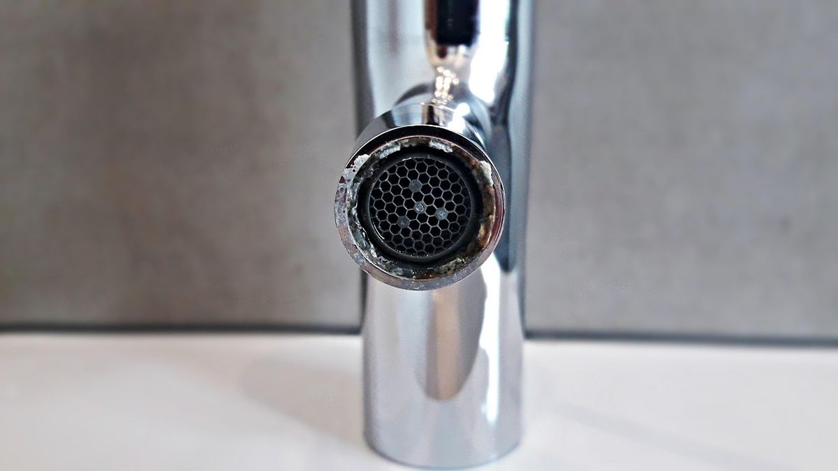 Aérateur/crépine de robinet chromé montrant le tamis de filtration en gros plan, échelle domestique, aucune dominante bleue